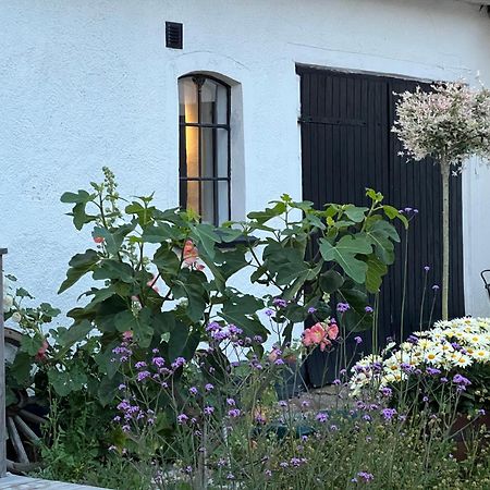 Backadal Gard Bnb 이스타드 외부 사진