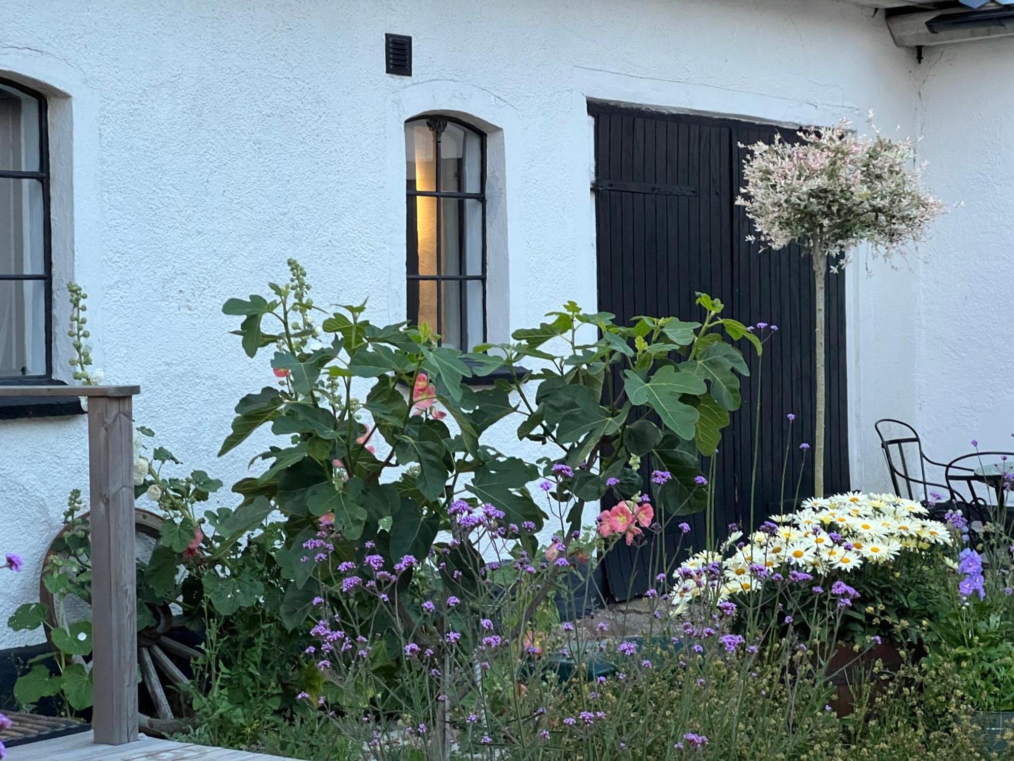 Backadal Gard Bnb 이스타드 외부 사진